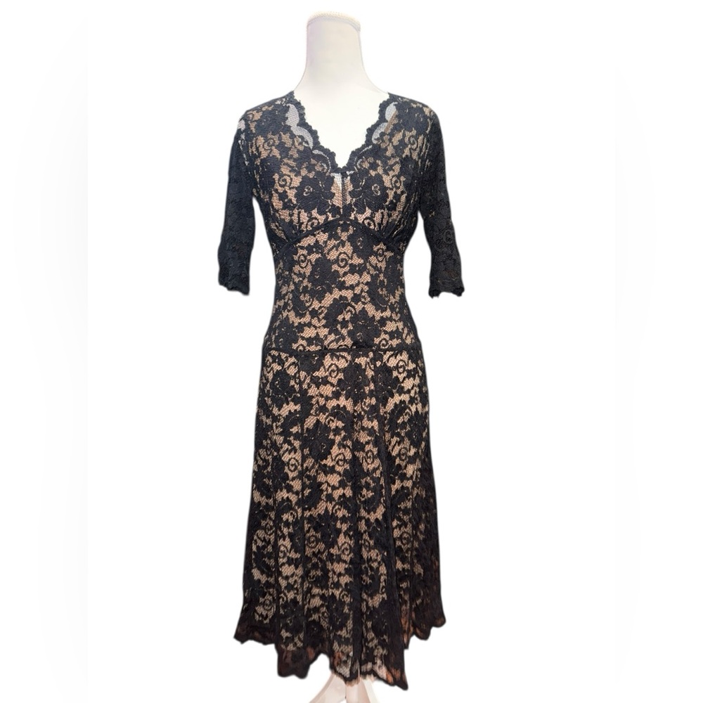 CAbi Black Lace Midi Dress Size Small Sheer Overlay Nude Lining Feminine Gothic - Picture 2 of 12